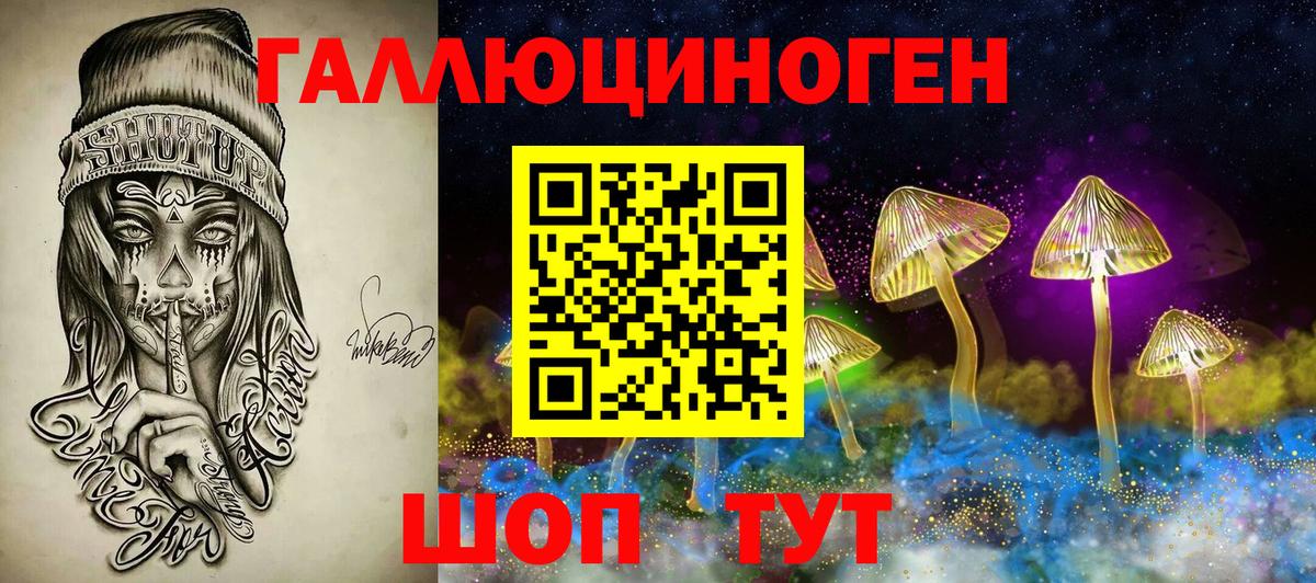 Псилоцибиновые грибы Psilocybe  Вход с VPN  Ржев 